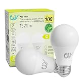 GY Bombillas Led E27 Luz Fría 6500K - 9,5W Equivalente a 100W - 1521 Lúmenes, No Regulable - A60 Bombilla Led Esférica Caja de 2 Unidad