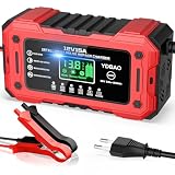 Cargador de Batería de Coche 12V 15A para Coche Moto AGM SLA Gel LiFePO4 | Cargador Baterias Coche y Moto Inteligente Reparación ,Pantalla LCD,Múltiples Protecciones,Carga Rápida