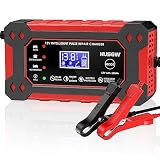 12V6A Cargador de Batería de Coche,Cargador de Batería Inteligente con LCD | Múltiples Funciones de Protección,paraAutomóviles,Moto,Camión,AGM,Gel,SLA (2Ah-100Ah)